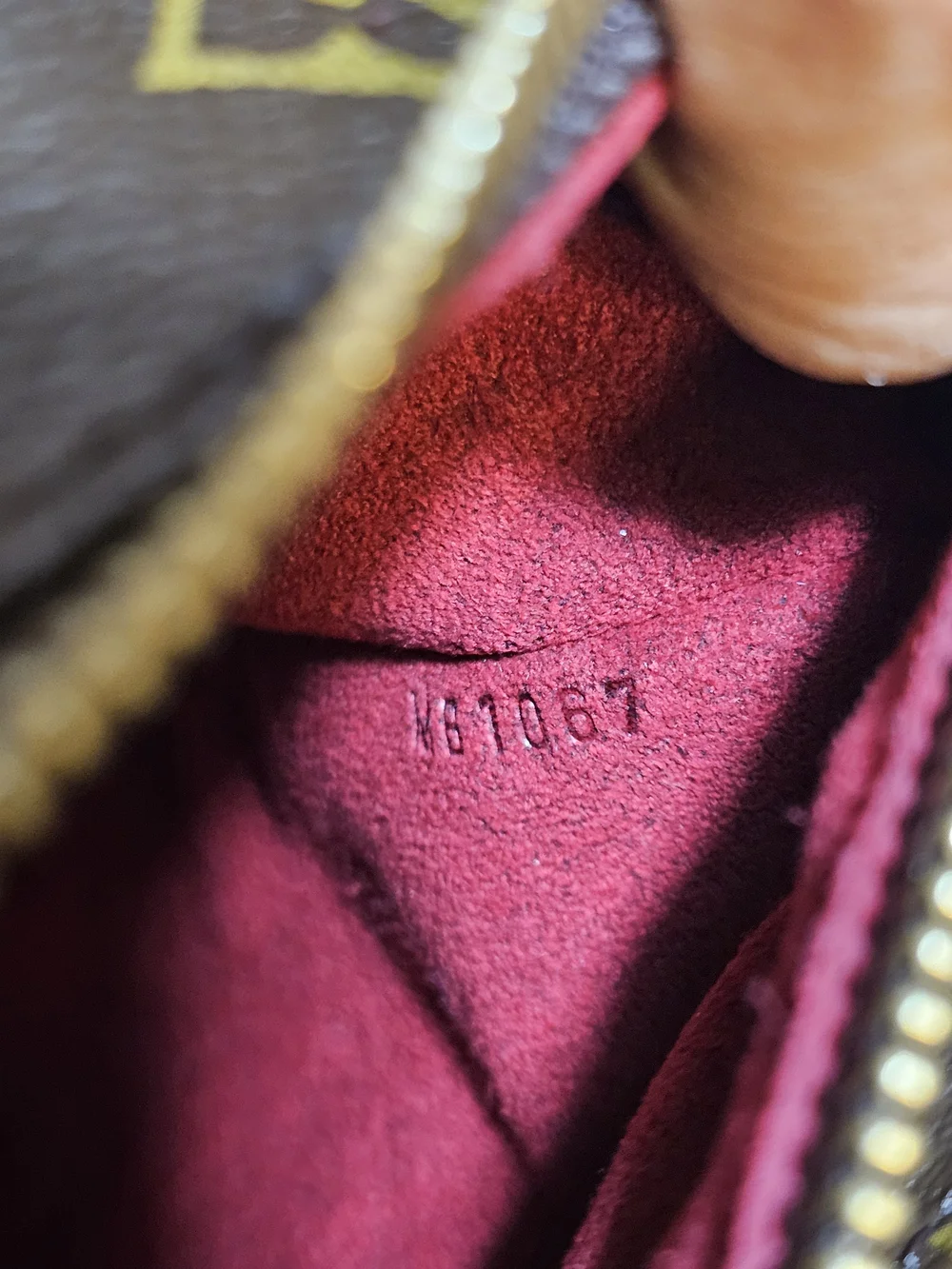 Louis Vuitton authentic louis